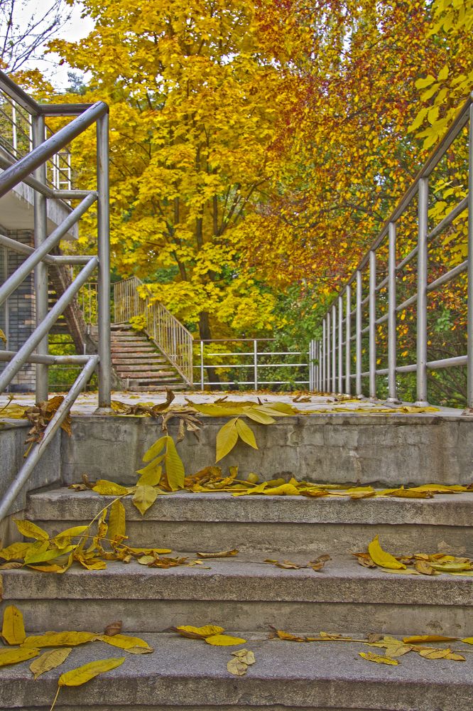 Photograph by Елена Щитова