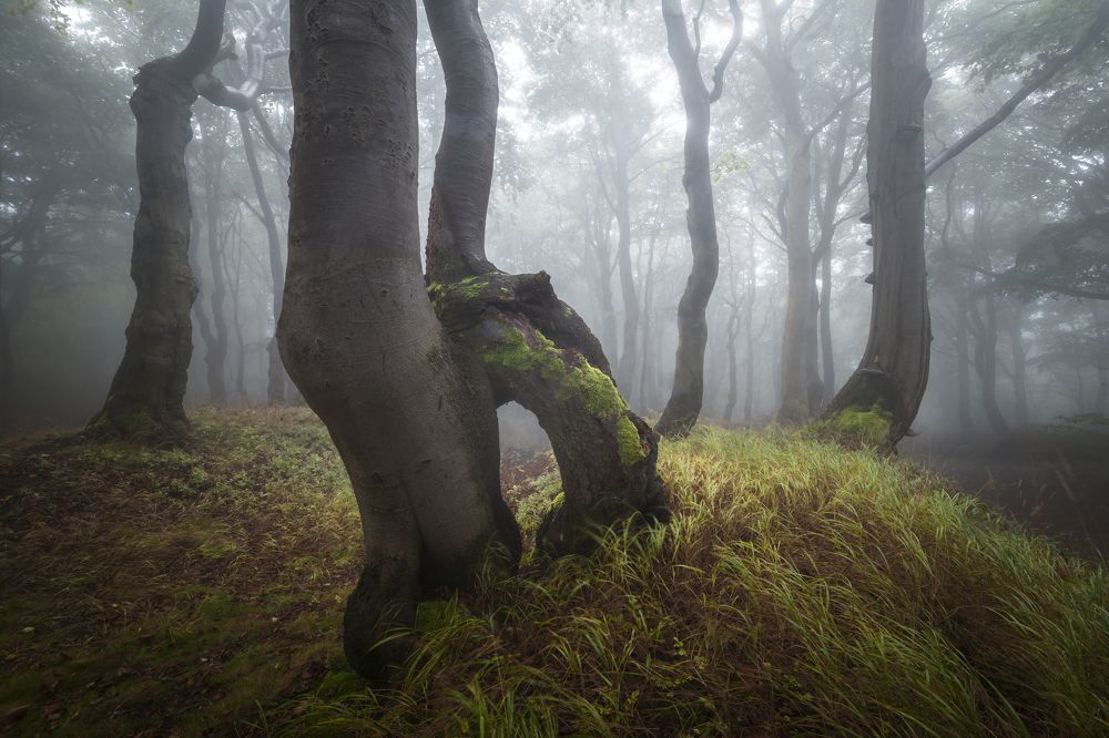 Photograph by Luboš Prchal