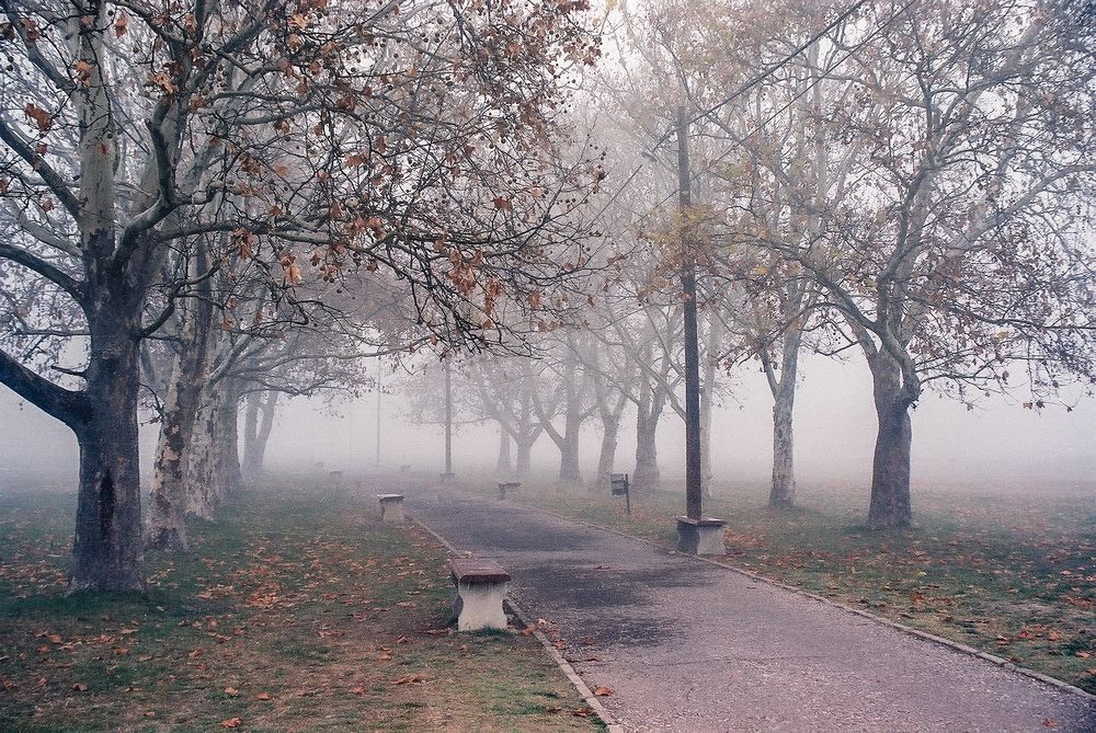 Клупе у магли