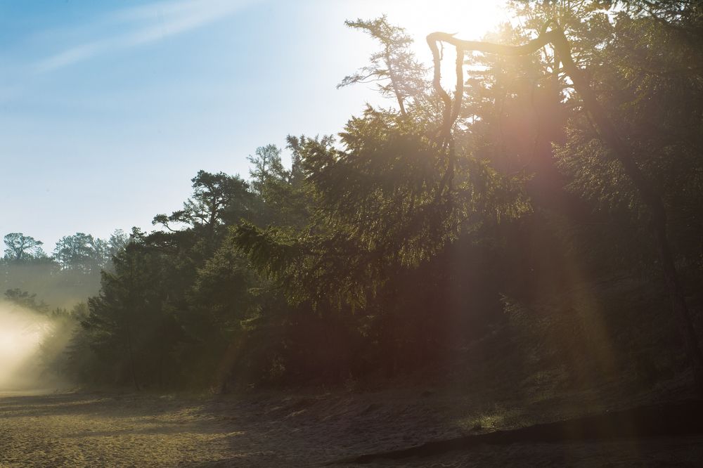 Фотография автора Оркина Ксения