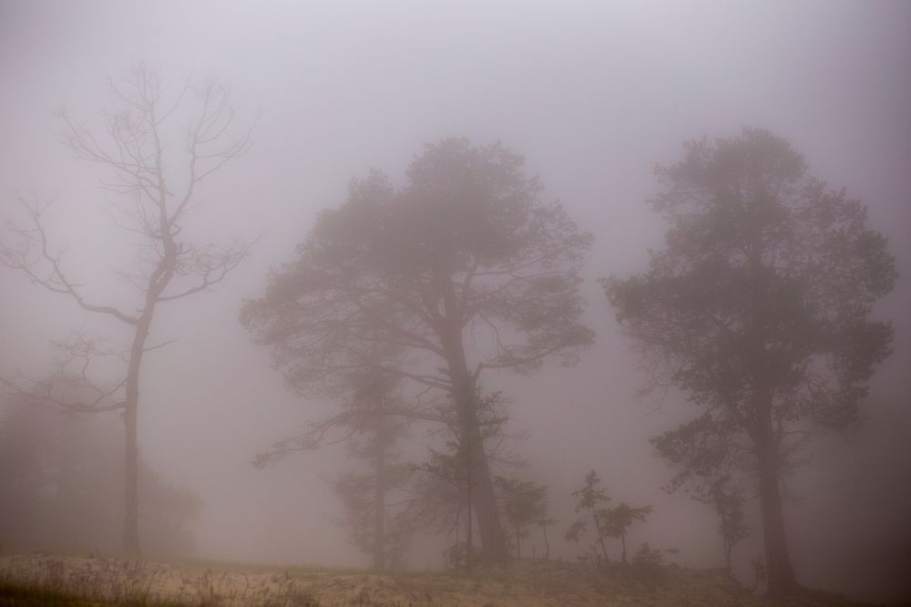 Фотография автора Оркина Ксения