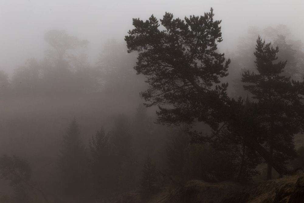 Фотография автора Оркина Ксения