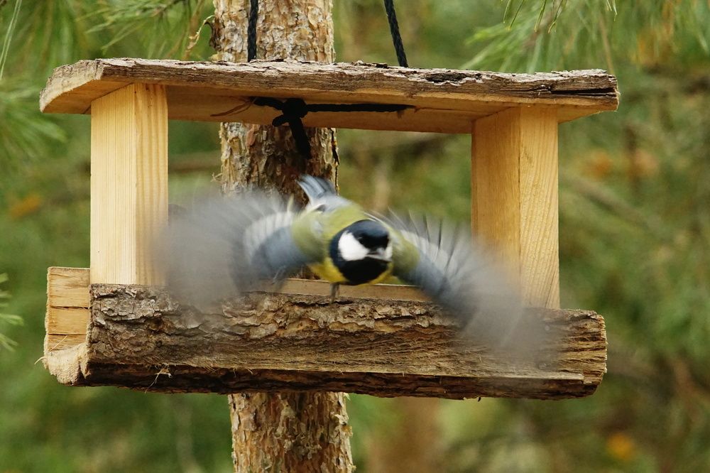 Photograph by Александр Кизим