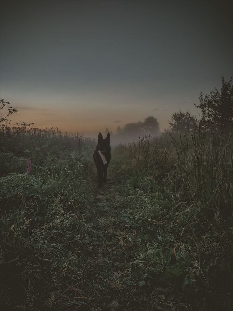 Photograph by Алёна Шматова