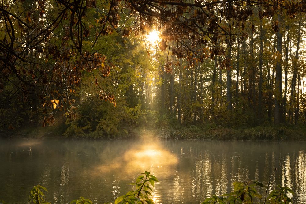 Photograph by Lukas Kulla