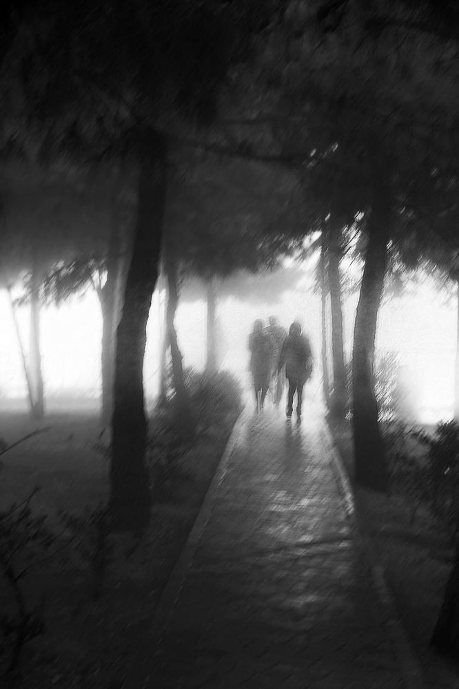 Photograph by Mahmoodreza Noraei