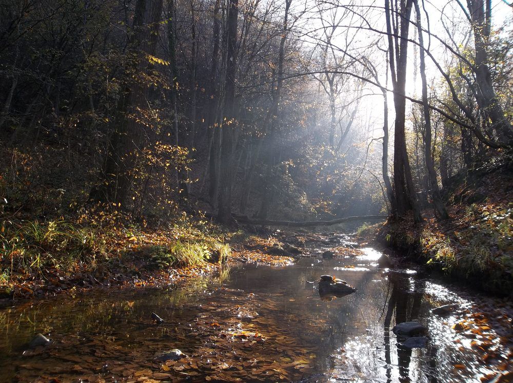 Photograph by Георги Колев