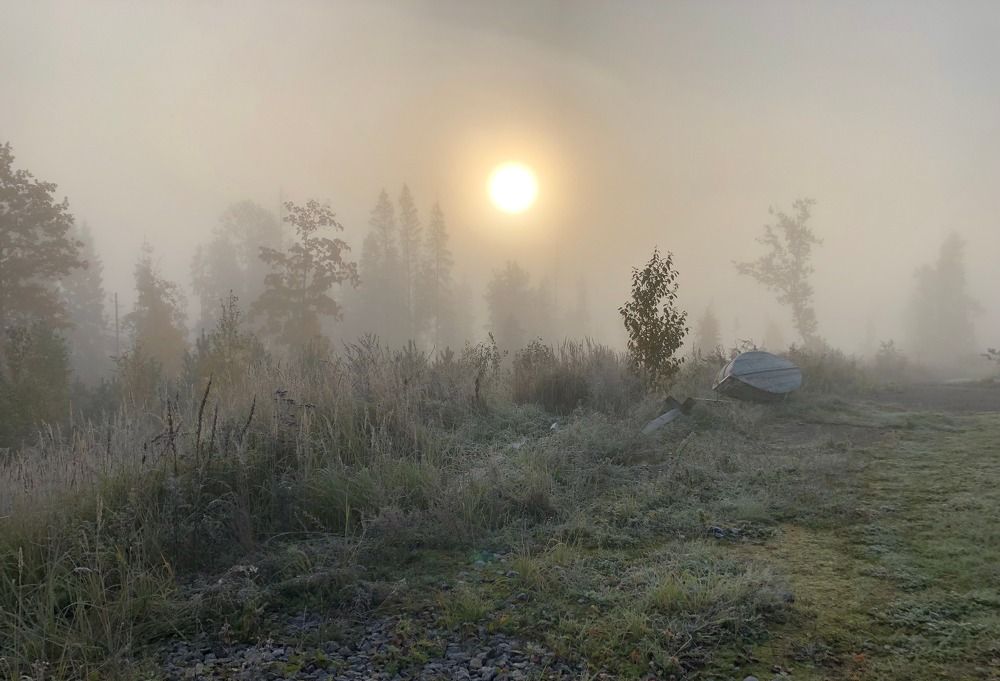 Photograph by Галина