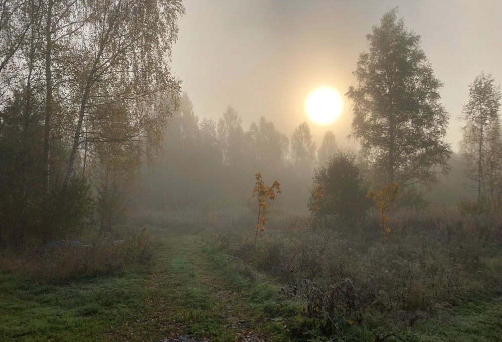 Photograph by Галина