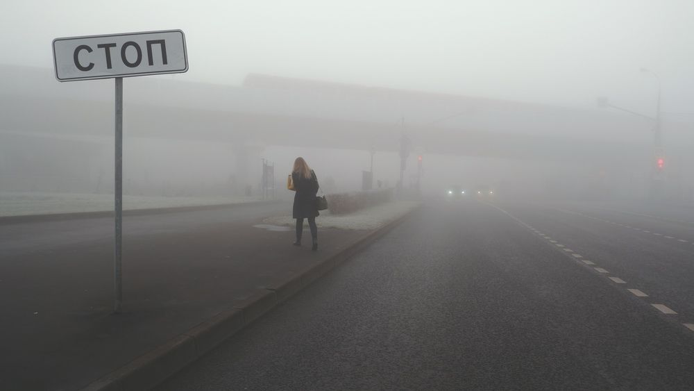 Photograph by Михаил Алещенков