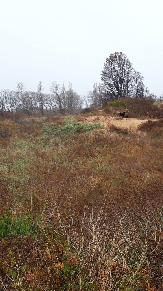 Photograph by Наталья Пусулиди