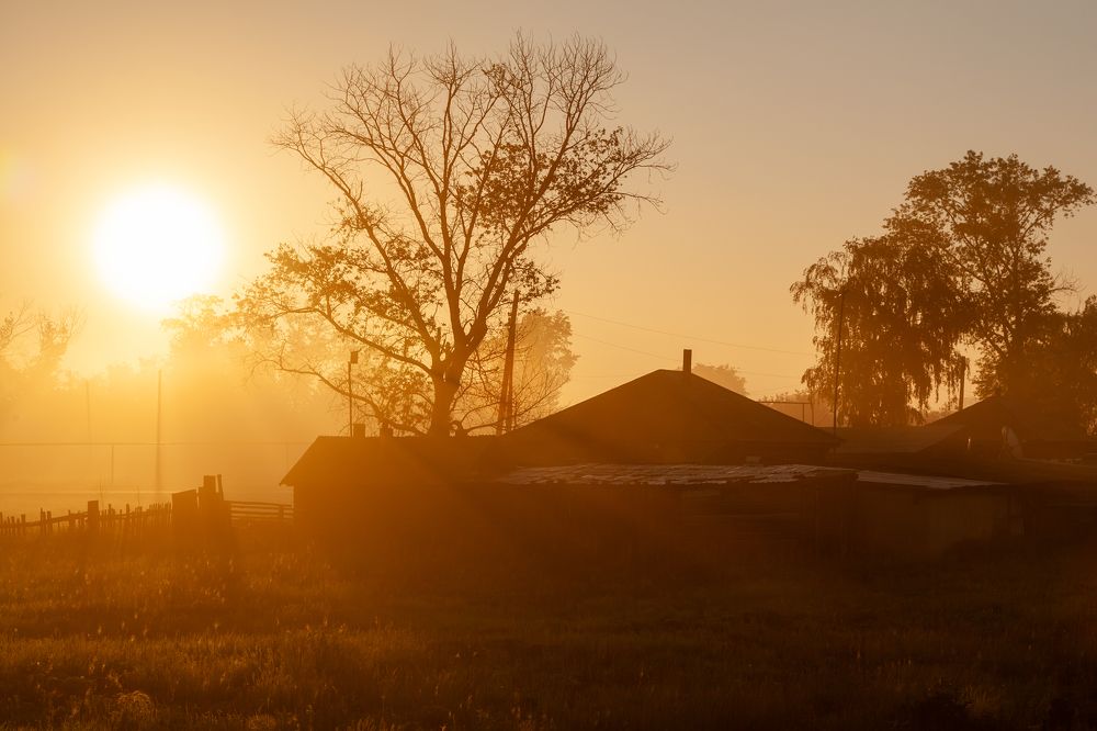 Photograph by Сергей Евдокимов