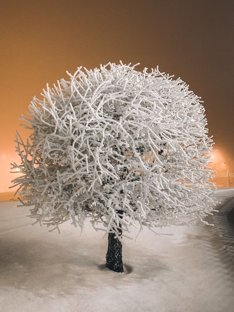 Photograph by Александр Наракшин