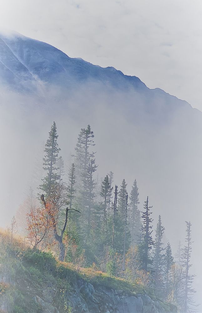 Photograph by Geir Kjaerstad