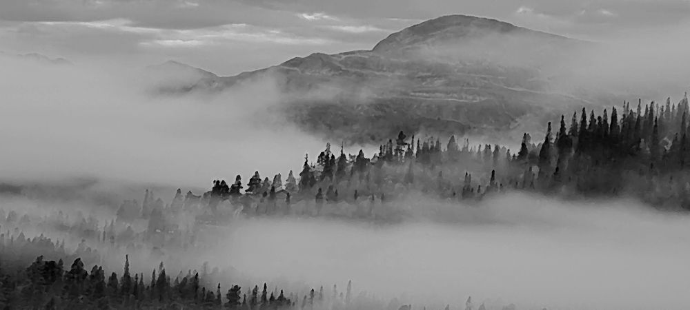 Photograph by Geir Kjaerstad