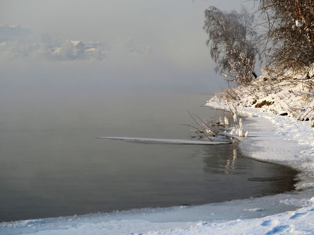 Photo #6683175
