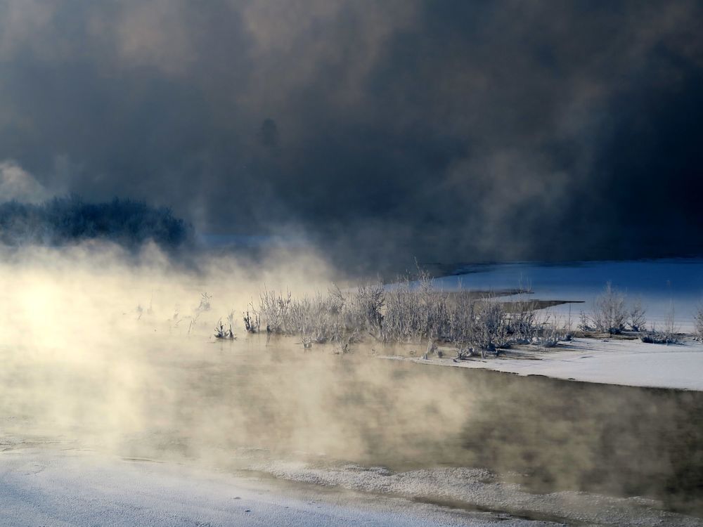 Photo #6683176
