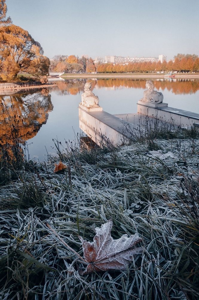 Photograph by Юлия Орлова