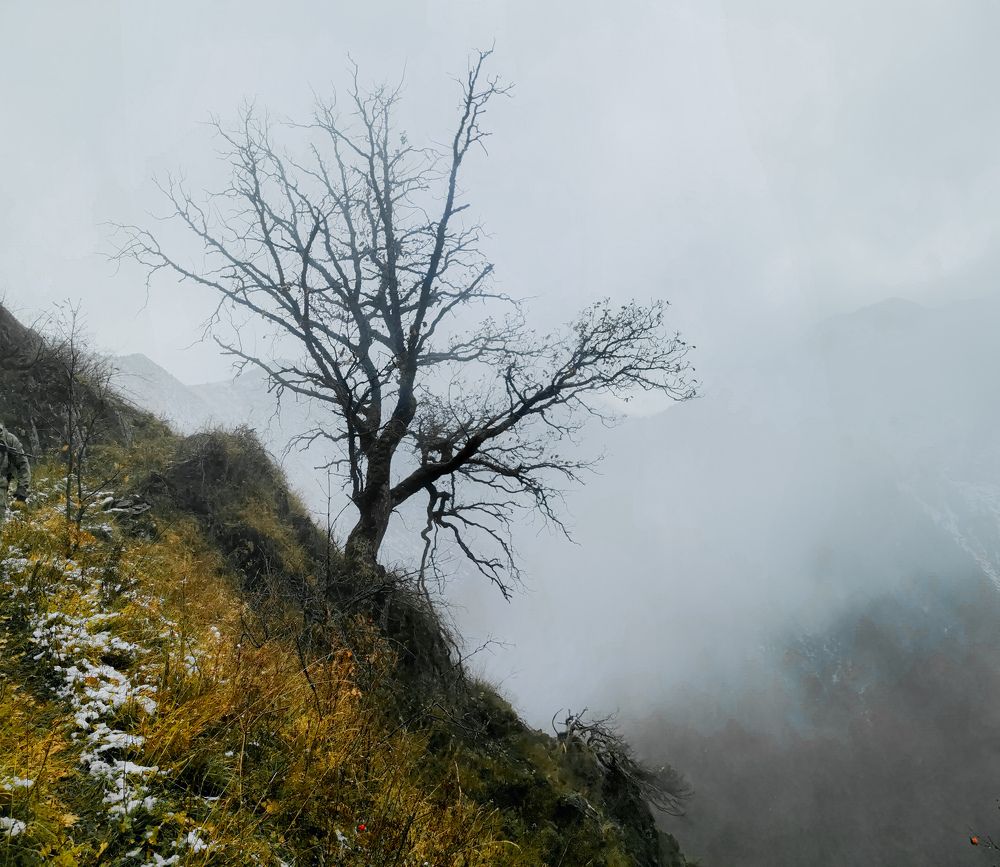 Photograph by Дмитрий Ронжин