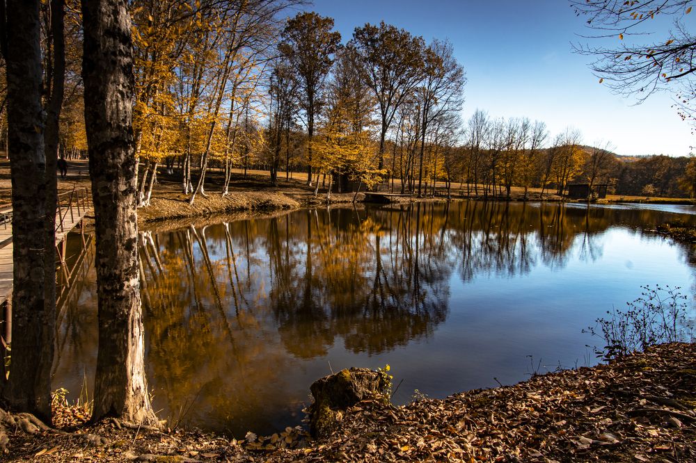 Photograph by Шамраев Анатолий