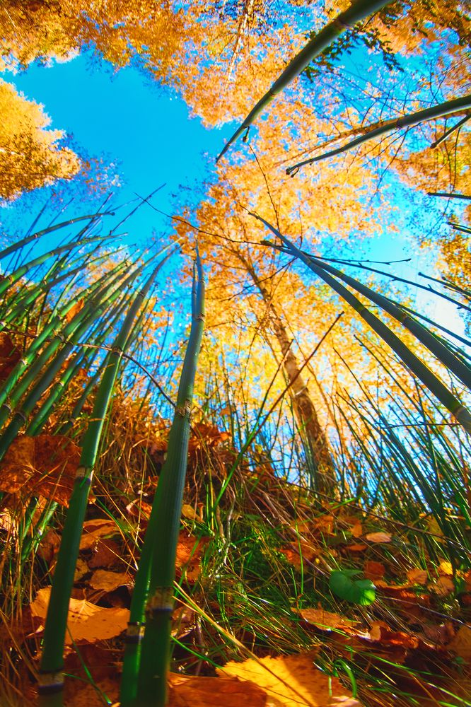 Photograph by Ян Кемпи