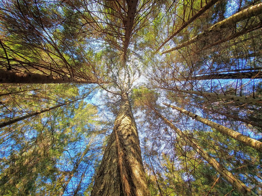 Photograph by Андрей Вахрушев