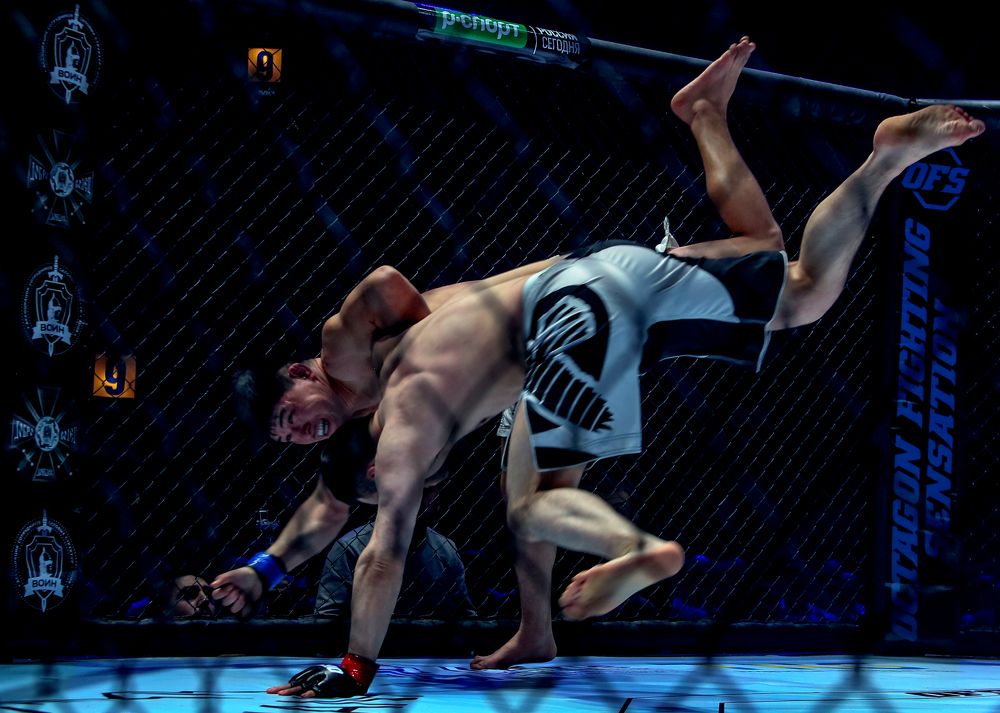 Фотография автора Мария Коледа