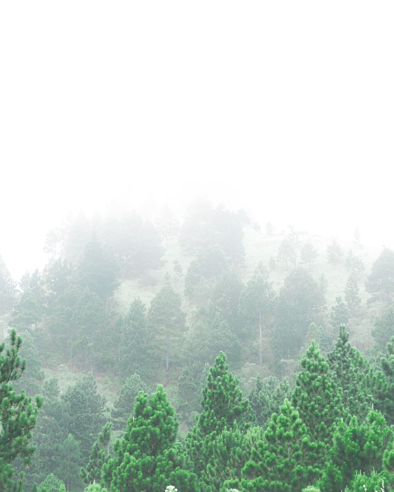 Landscape photography