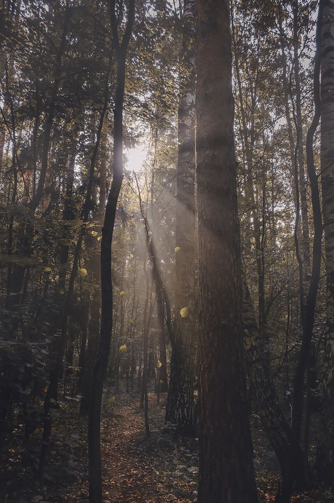 Photograph by Юлия Орлова