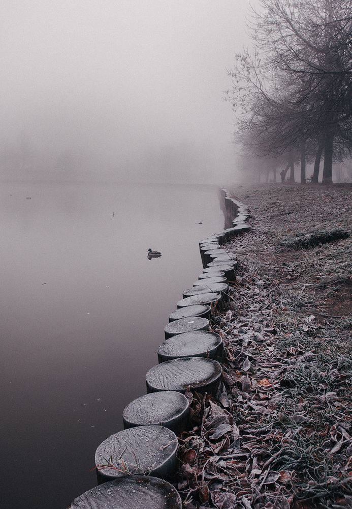 Photograph by Юлия Орлова