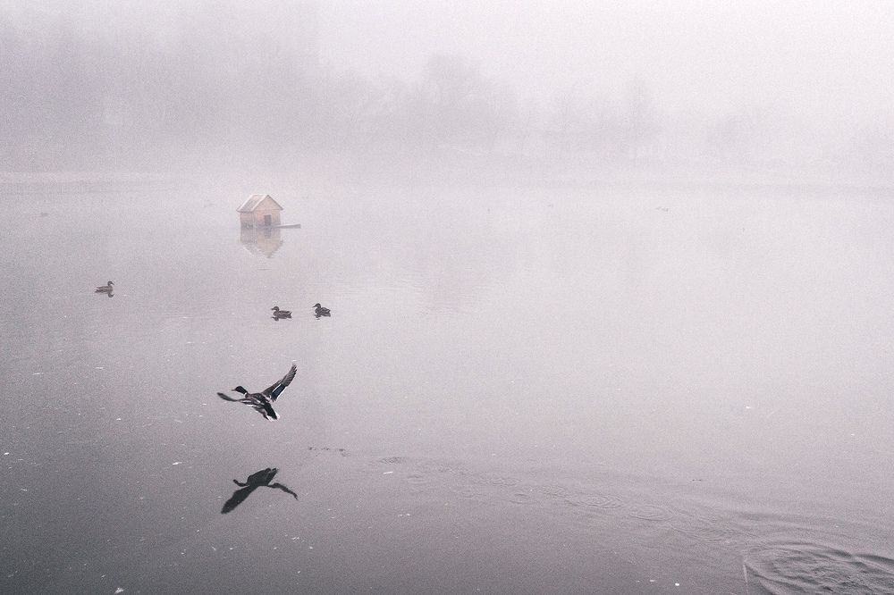 Photograph by Юлия Орлова