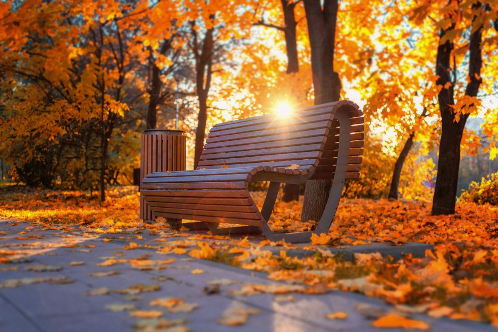 Photograph by Дмитрий Петренко