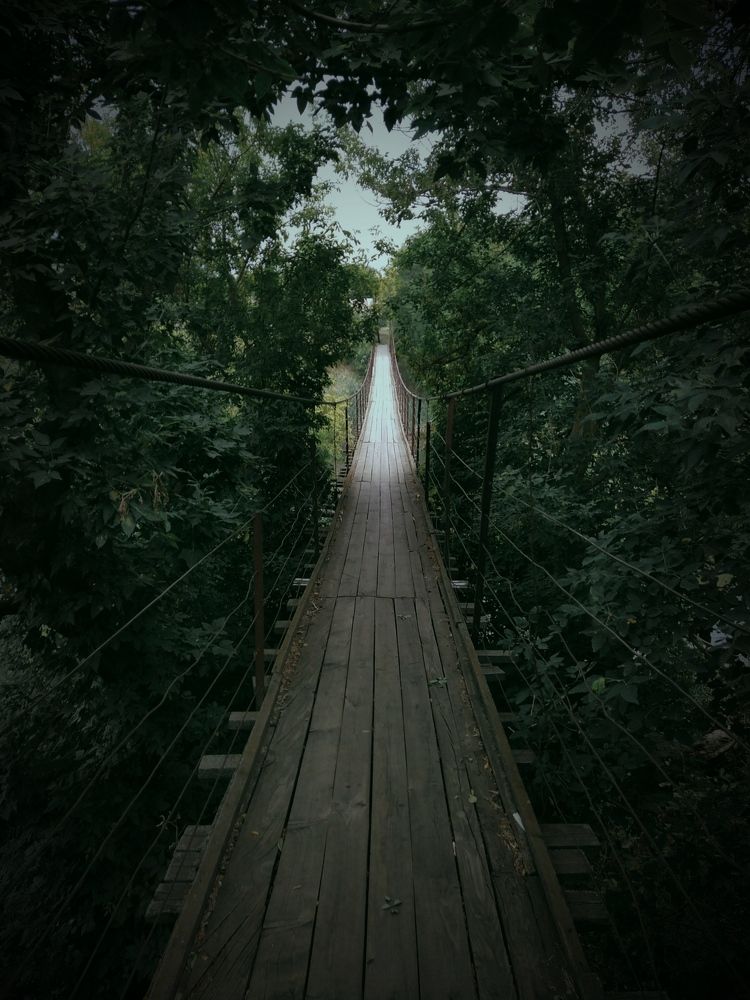 Фотография автора Наталья Алексеева