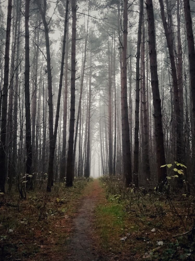 Photograph by Екатерина Чижевская