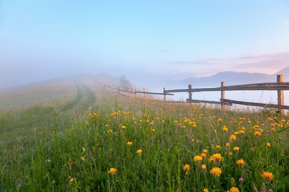 Дорога в облака...