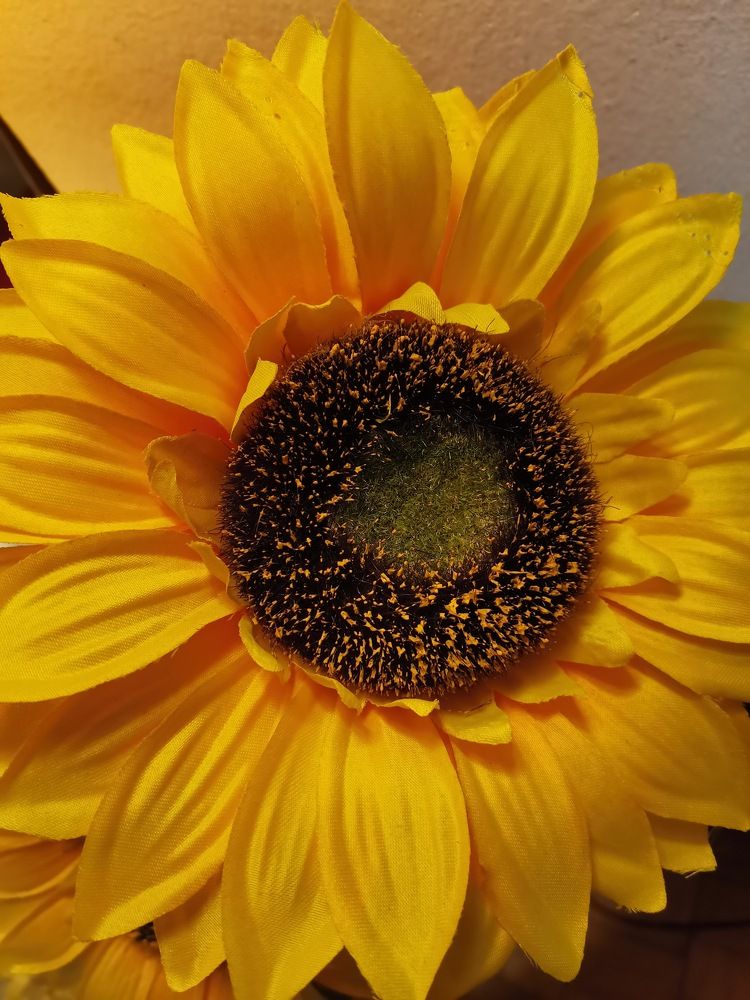 Photograph by Sanja Dabić