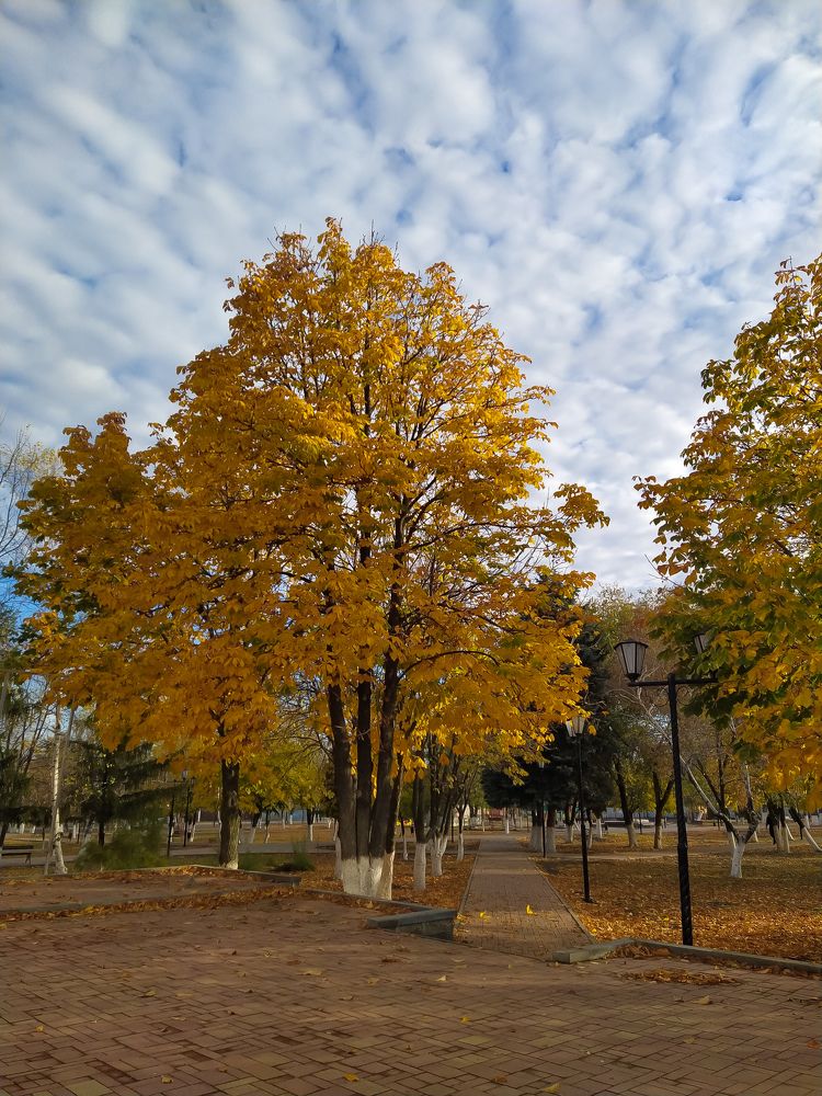 Фотография автора Наталья Алексеева