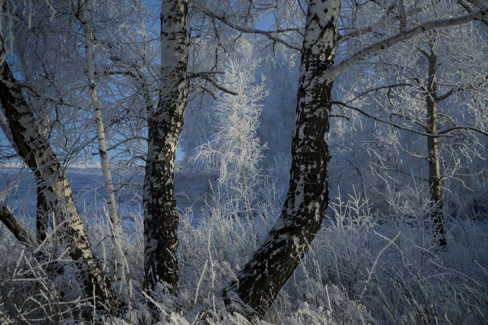 Photograph by Евгений Зинов