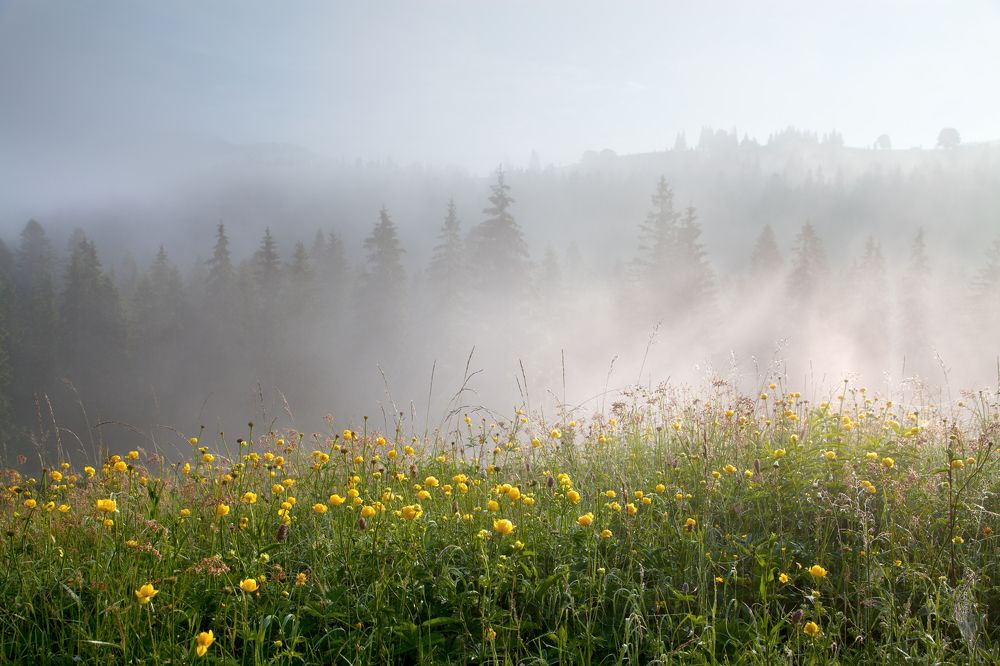 Photograph by Юлия Рублевская