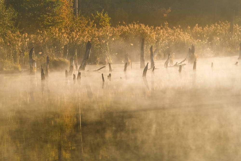 Photograph by Юрий Иванчук