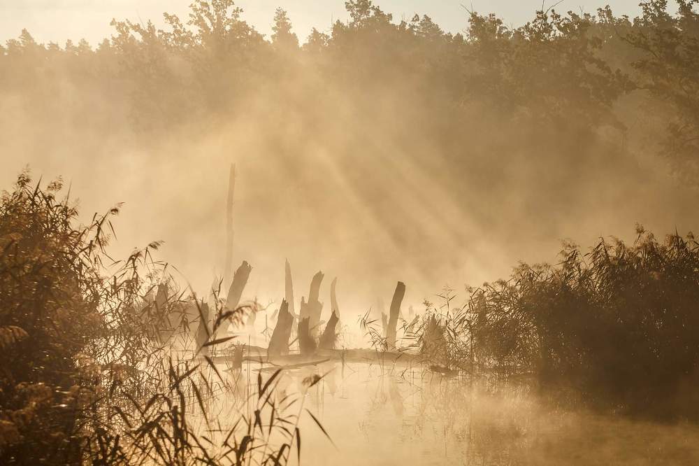 Photograph by Юрий Иванчук