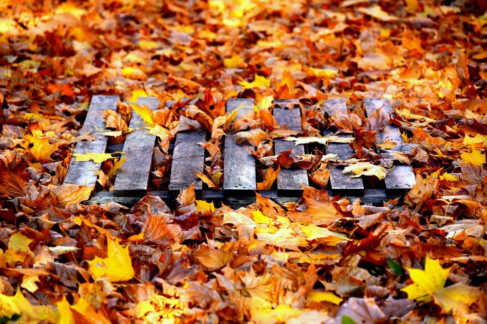 Осенние рельсы...