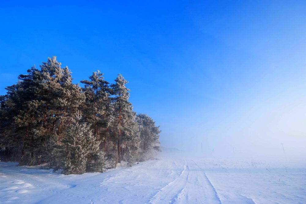 Фотография автора Александр Буренко