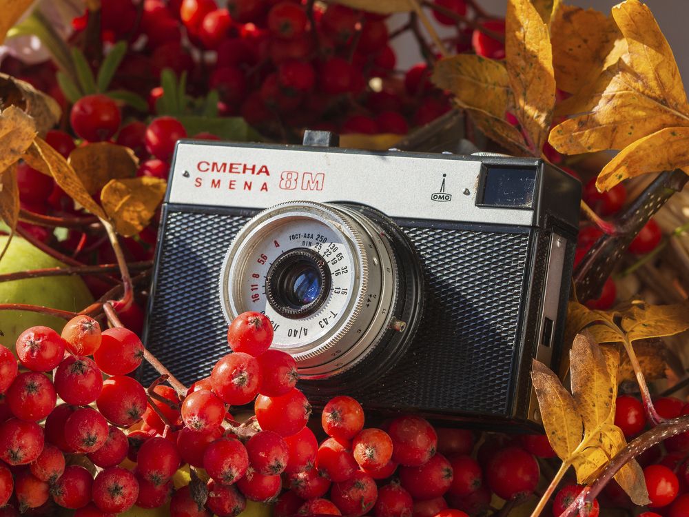 Фотография автора Александр Кротков