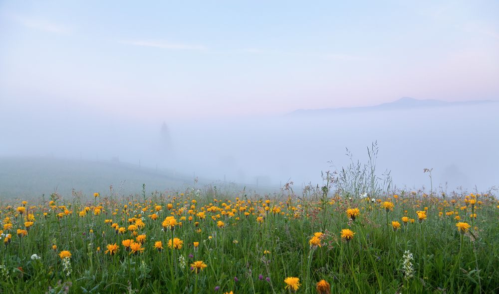 Photograph by Юлия Рублевская