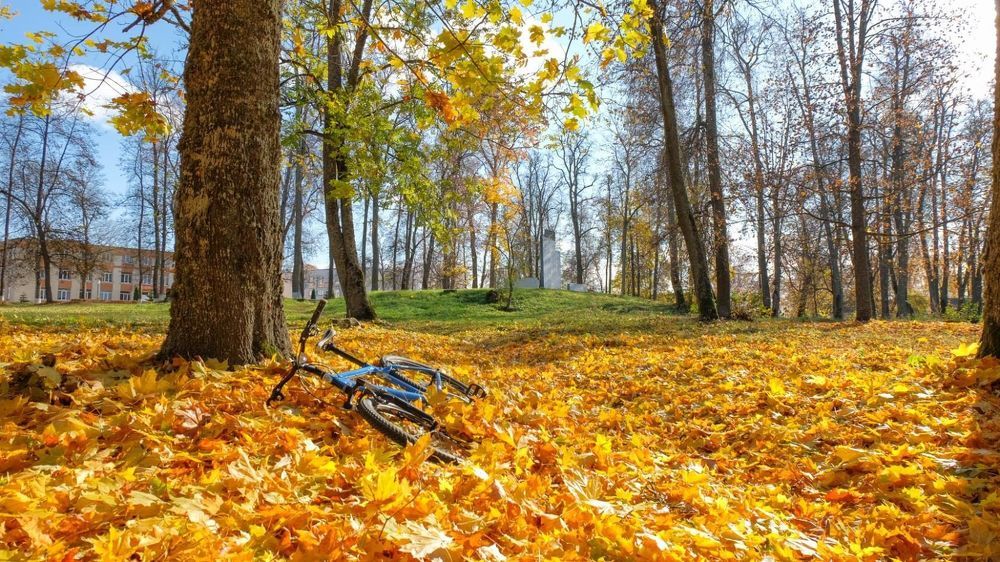Фотография автора Александр Буренко