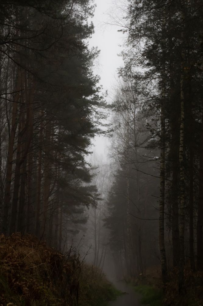 Photograph by Ализа TS