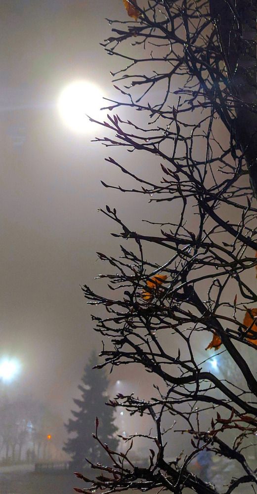 Вечерний парк