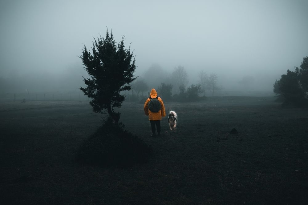 Фотография автора Vasileios Stergiopoulos