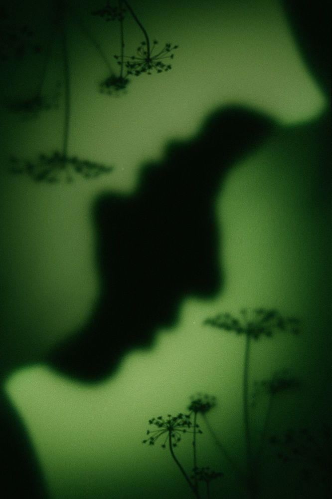 Photograph by Анна Силютина